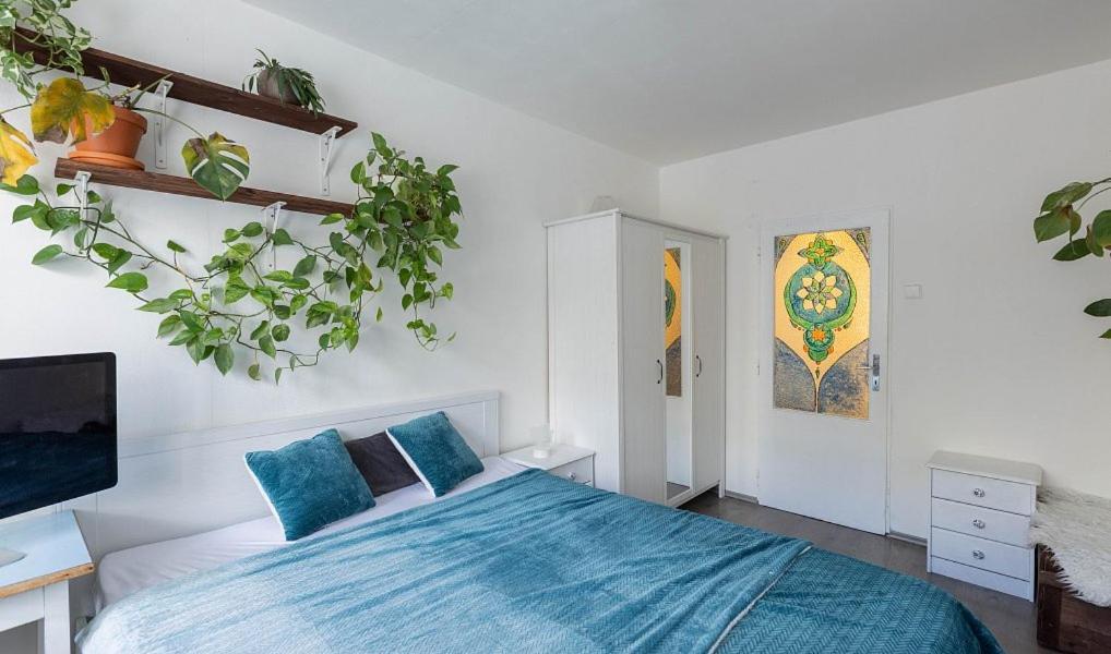 Apartment Paradise *